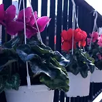 999 Апартаменты *